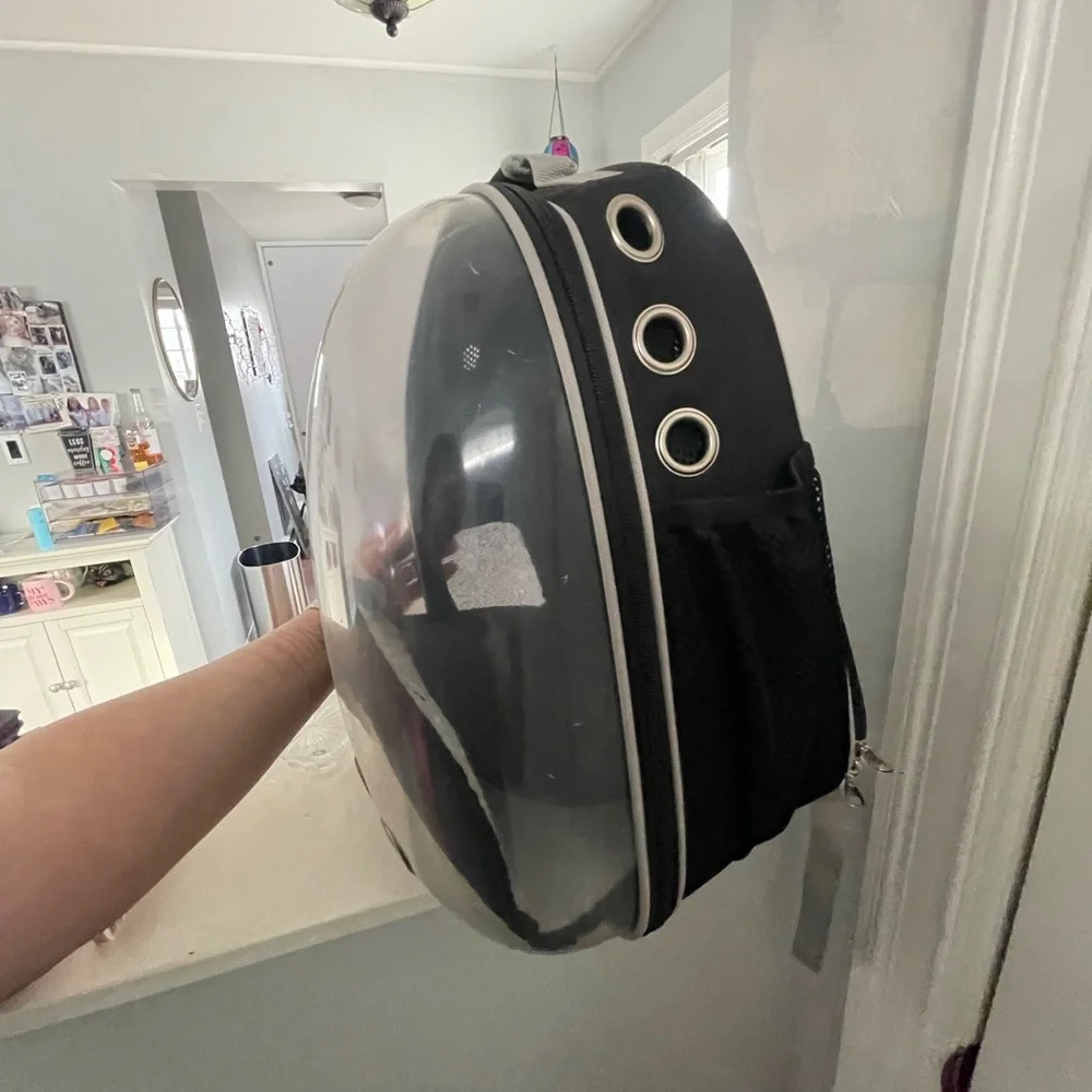Cat bubble backpack